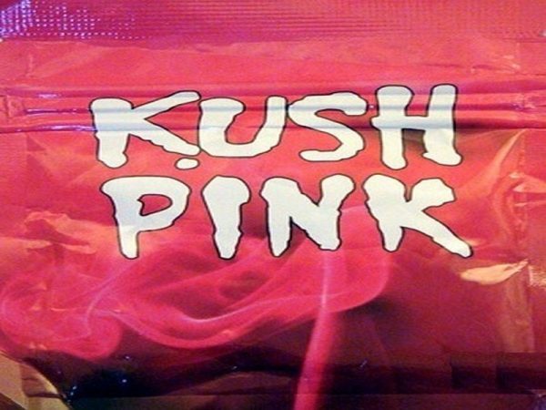 Buy Kush Pink Online